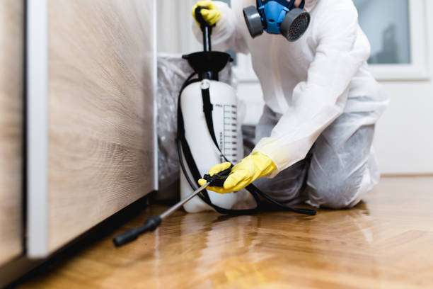 Best Exterminator Services  in Mattoon, IL