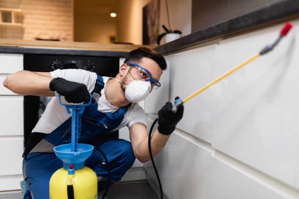 Best Rat Extermination Near Me  in Mattoon, IL