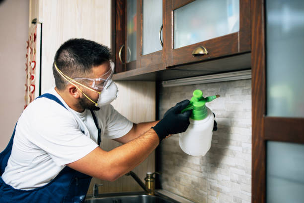 Best Insect Control  in Mattoon, IL