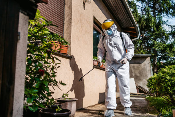 Best Spider Control Near Me  in Mattoon, IL