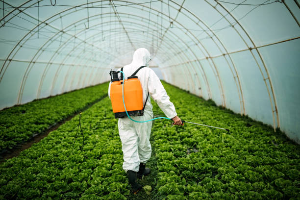 Best Pest Control Near Me  in Mattoon, IL