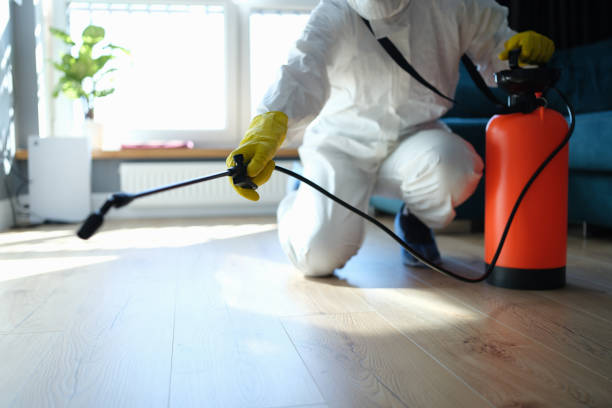 Trusted Mattoon, IL Pest Control Experts