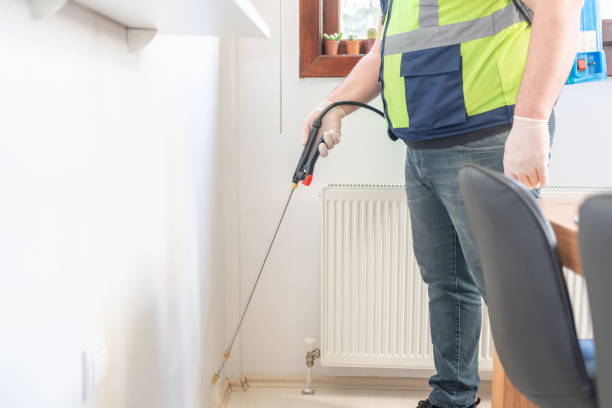 Best Wasp Removal Services  in Mattoon, IL