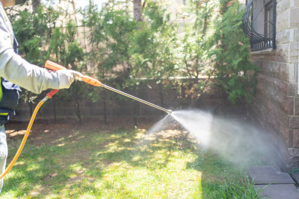 Best Pest Control Near Me  in Mattoon, IL