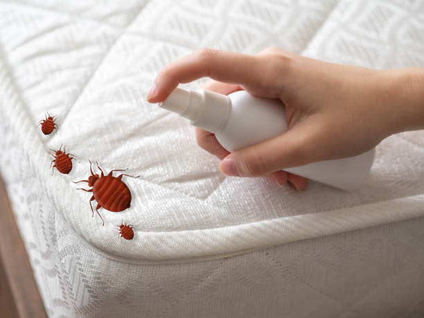 Best Pest Control Near Me  in Mattoon, IL