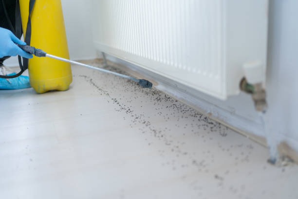 Best Commercial Pest Control Services  in Mattoon, IL